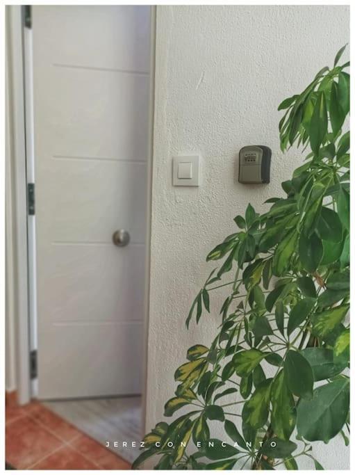 Atico En Pleno Centro De Jerez Sin Ascensor Apartment เฮเรซ เด ลาฟรอนเตรา ภายนอก รูปภาพ